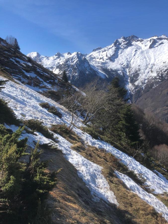 La Petite Maison Des Montagnes ลูซ-แซ็ง-โซเวอร์ ภายนอก รูปภาพ