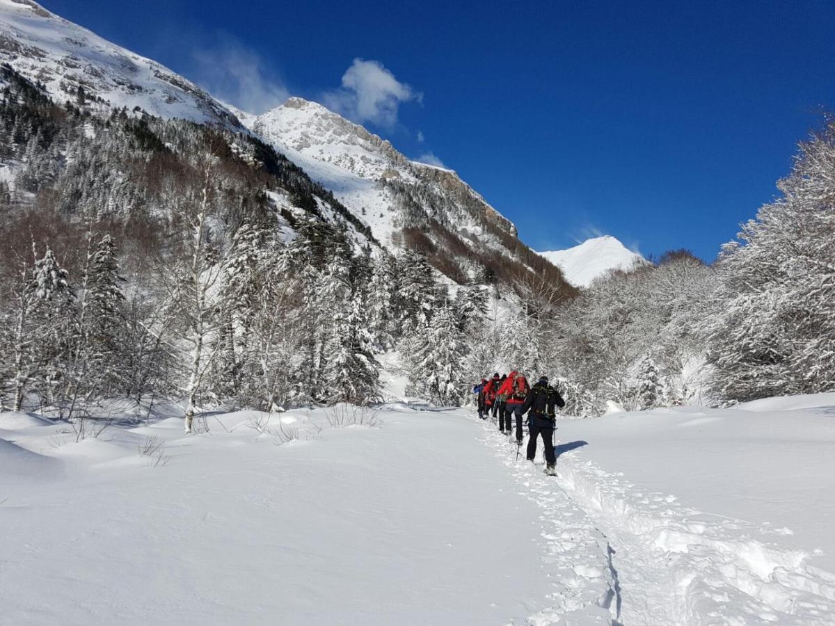 La Petite Maison Des Montagnes ลูซ-แซ็ง-โซเวอร์ ภายนอก รูปภาพ